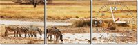30 90CM OBRAZ 3 ELEM SAFARI ŚCIENNY PŁOTNO DRUK