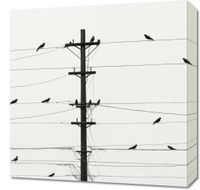 Obraz 50x50cm Symfonia na Drutach