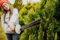 NOŻYCE ELEKTRYCZNE DO ŻYWOPŁOTU KRZEWÓW GAŁĘZI SEKATOR LEHMANN 1500W OSTRE