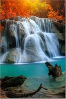 product-compare-58703540