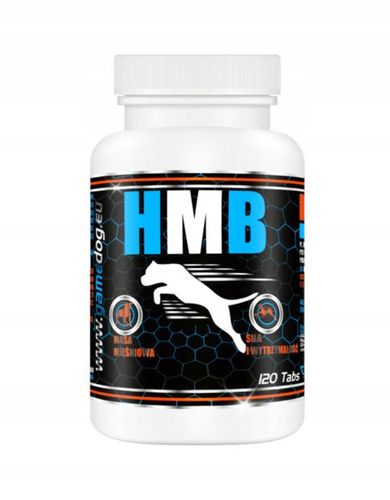 Game Dog HMB 120tbl. wspomagający mięśnie na Arena.pl