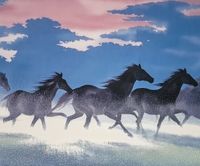 Plakat 60x50cm Wolność i Swoboda