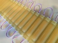 Moduł pasek 9xdioda LED SMD 2w/12V kolor żółty