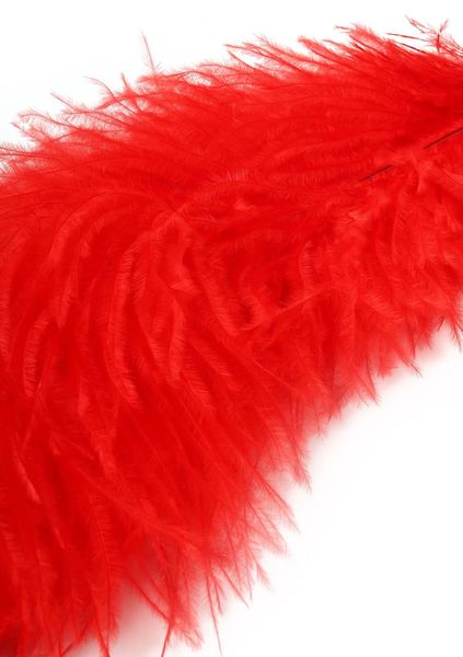 Double Feather Tickler Red zdjęcie 4