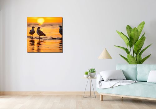 Obraz 70x70cm Mewia Gawęda na Arena.pl