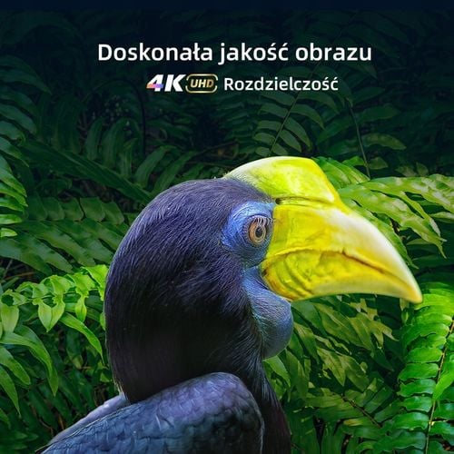 Telewizor CHiQ 50" 4K UHD Smart TV Android11 na Arena.pl