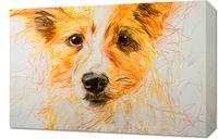 product-compare-59494124