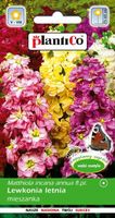 NASIONA Kwiatów Lewkonia Letnia Mieszanka MIX 0,5g Kwiaty 412002