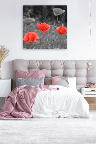 Obraz na płótnie - Canvas, Maki na łące 90x90 na Arena.pl
