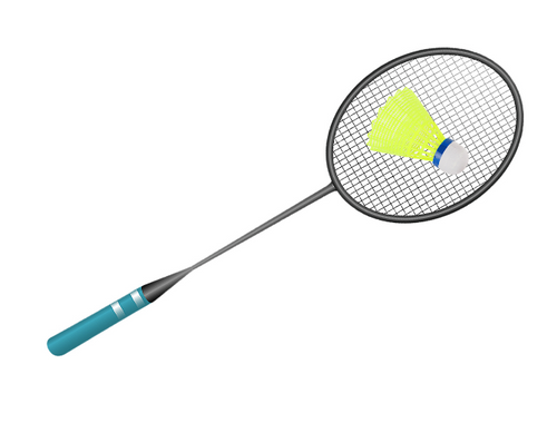 Zestaw lotek do badmintona 24 sztuki na Arena.pl