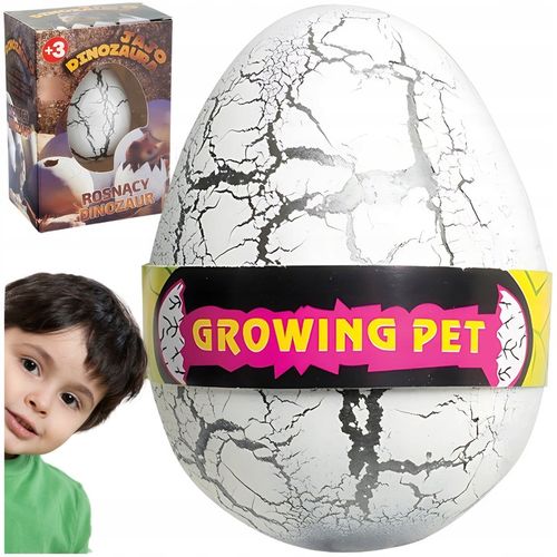 5x JAJO jajko dinozaura wykluwający rosnący DINOZAUR DUŻE NA PREZENT na Arena.pl