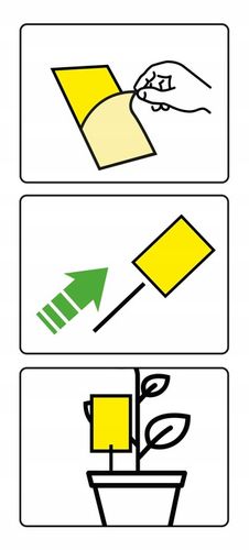 LEP DO DONICZEK SZKLARNI NA MSZYCE ZIEMIÓRKI MUSZKI MRÓWKI NO PEST (60 SZT) na Arena.pl