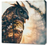 product-compare-59494334