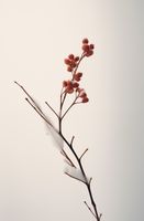 Plakat 53x81cm Subtelna Siła Zimy