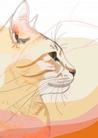 Plakat 64x90cm Delikatny Profil Kota