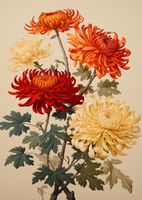 Plakat 64x90cm Tańczące Chryzantemy