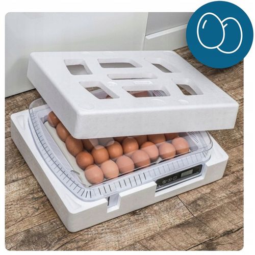 Inkubator Automatyczny do wylęgu 35 jaj Wylęgarka Klujnik do wylęgu Drobiu na Arena.pl