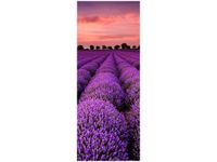 40X100CM OSZAŁAMIAJĄCY KRAJOBRAZ LAWENDĄ OBRAZ PION