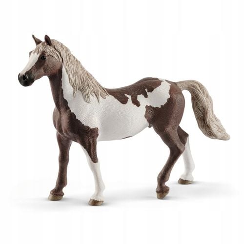 paint gelding koń 5643 na Arena.pl