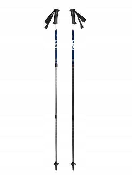 Kije aluminiowe Leki Eagle zdjęcie 1