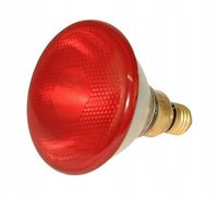 Promiennik żarówka lampa kwoka 175W Kerbl czerwony