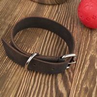 obroża dla psa skórzana brązowa rozmiar s/m petsome 16p02s