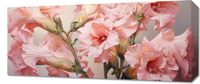 product-compare-59468261
