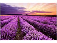 product-compare-58650298