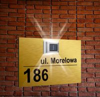 ZŁOTA TABLICZKA ADRESOWA nierdzewna z lampką numer działki domu 40x30