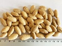 Migdały blanszowane 1 kg migdał