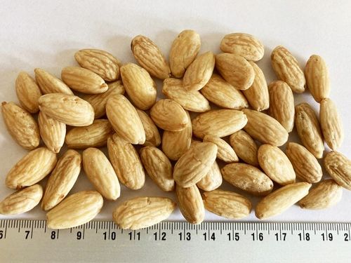 Migdały blanszowane 1 kg migdał na Arena.pl