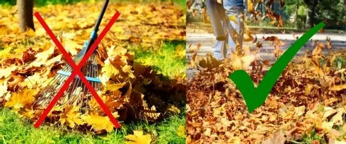 Dmuchawa do liści spalinowa odkurzacz liści DEMON na Arena.pl