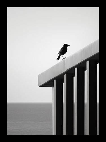 Plakat 13x18cm Samotna Odchłań na Arena.pl