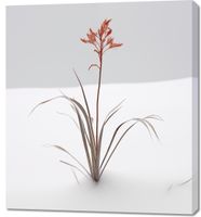 product-compare-59469664