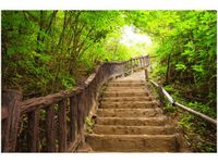 product-compare-58646460