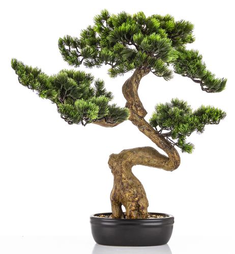 Kup Sztuczne drzewko Bonsai Premium w doniczce 65x60x35 na arena.pl i ciesz  si nisk cen