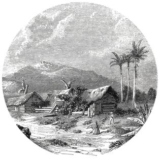 WallArt Okrągła fototapeta Landscape of Guadeloupe, 190 cm