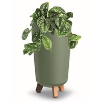 Donica wysoka tuba okrągła 23,9cm zielony mat