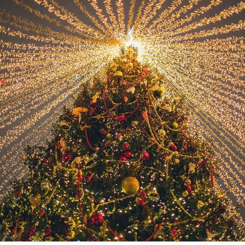 LAMPKI CHOINKOWE 500 LED ŚWIĄTECZNE ZEWNĘTRZNE WEWNĘTRZNE CIEPŁE BIAŁE 35m na Arena.pl