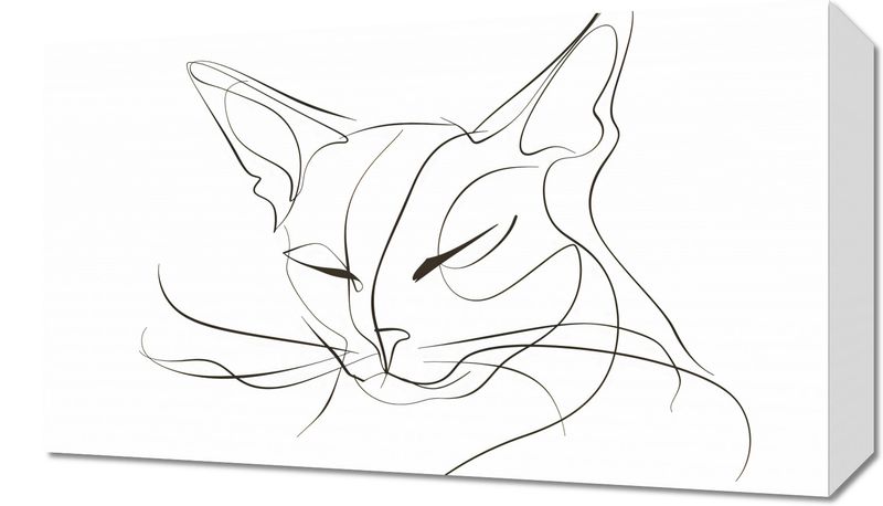 Obraz 50x30cm Linijny Kot zdjęcie 1