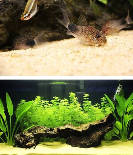 Czysty Piasek Kwarcowy do Akwarium 0,5-1,2 25KG na Arena.pl