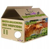 SIATKA PRZEZROCZYSTA NA BALKON DLA KOTA PTAKI 3x8