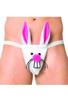 Stringi Męskie Królik - SoftLine 4442 S-L (uniwersalny)