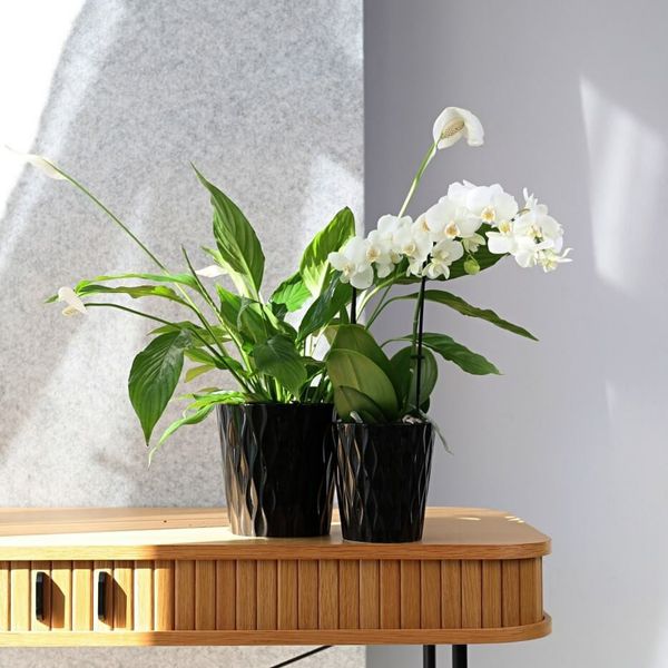 DONICZKA OSŁONKA CERAMICZNA CZARNA 16 CM zdjęcie 2