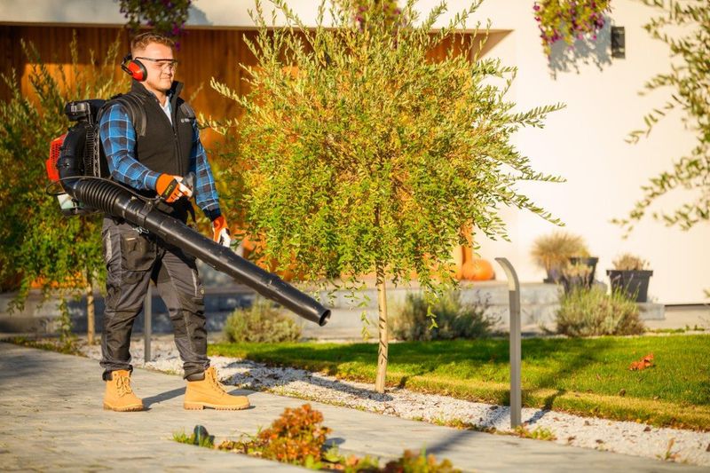 CEDRUS DM05 PRO PROFESJONALNY ODKURZACZ  DMUCHAWA SPALINOWA OGRODOWA DO LIŚCI - OFICJALNY DYSTRYBUTOR - AUTORYZOWANY DEALER CEDRUS zdjęcie 7