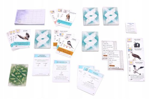 Na skrzydłach: Ptaki Europy na Arena.pl