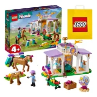 LEGO Friends - Szkolenie Koni (41746)
