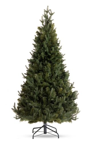 Choinka Świerk Leśny 220cm na Arena.pl