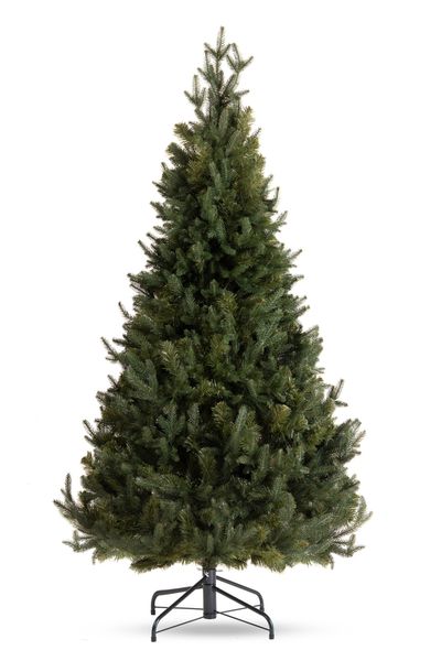 Choinka Świerk Leśny 220cm zdjęcie 5