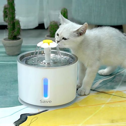 FONTANNA POIDEŁKO AUTOMATYCZNE DLA KOTA PSA CICHA + FILTR na Arena.pl